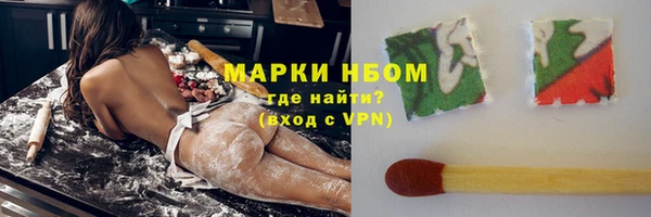 сатива Волоколамск