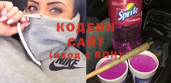 сатива Волоколамск
