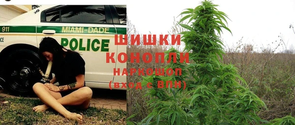 сатива Волоколамск