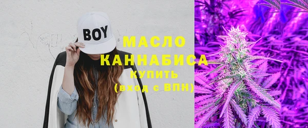 сатива Волоколамск