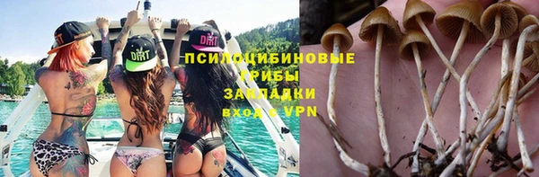 дмт Володарск
