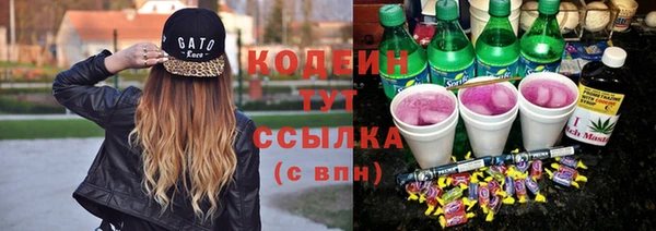 сатива Волоколамск