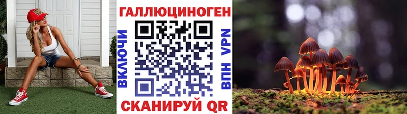 Купить закладки  Мышкин  Галлюциногенные грибы Cubensis 